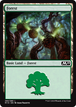 Forest (280) (Magic 2019 Core Set) Light Play