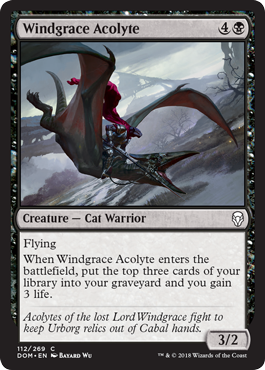 Windgrace Acolyte (Dominaria) Light Play