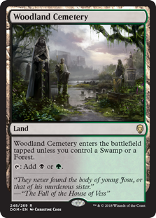 Woodland Cemetery (Dominaria) Heavy Play Foil