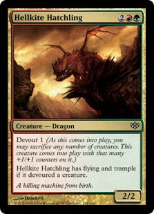 Hellkite Hatchling (Conflux) Medium Play