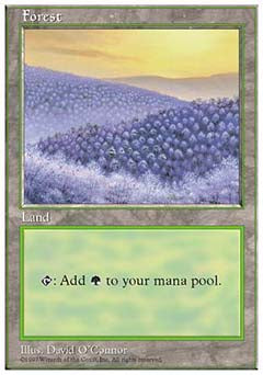 Forest D (5th Edition) Medium Play