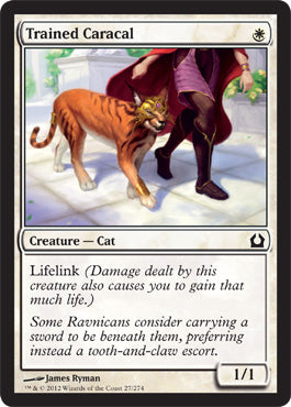 Trained Caracal (Return to Ravnica) Light Play