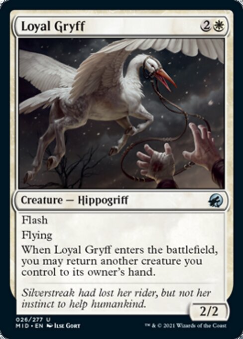 Loyal Gryff (Innistrad: Midnight Hunt) Light Play