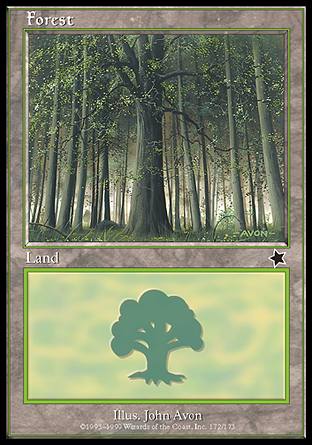 Forest (172) (Starter 1999) Medium Play