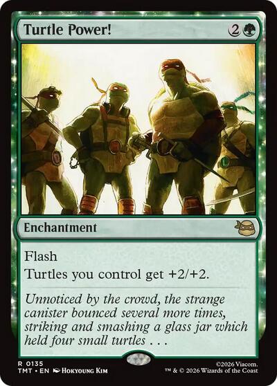 Turtle Power! (Teenage Mutant Ninja Turtles) Light Play