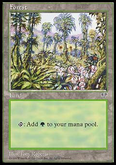 Forest (Mirage) Medium Play