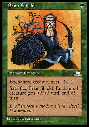 Briar Shield (Weatherlight) Medium Play