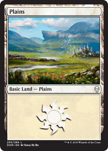 Plains (250) (Dominaria) Light Play