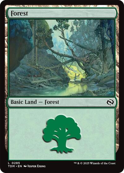 Forest (0285) (Tarkir: Dragonstorm) Light Play