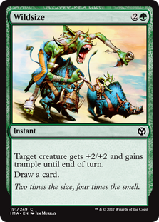 Wildsize (Iconic Masters) Light Play
