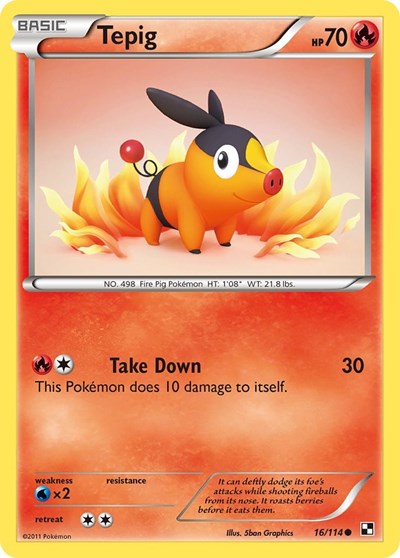 Tepig (16) (Black and White) Medium Play