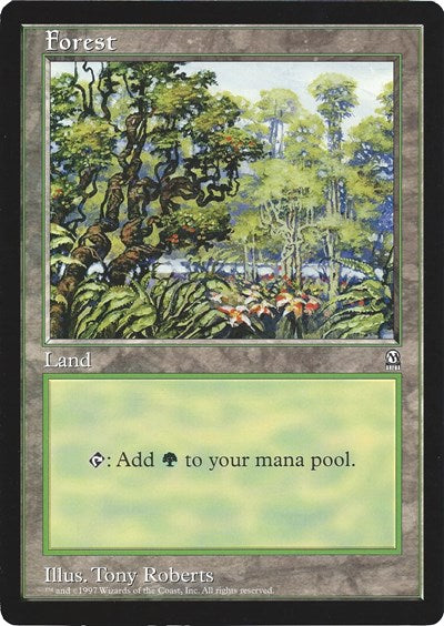 Forest (Arena League) (Oversize Cards) Medium Play