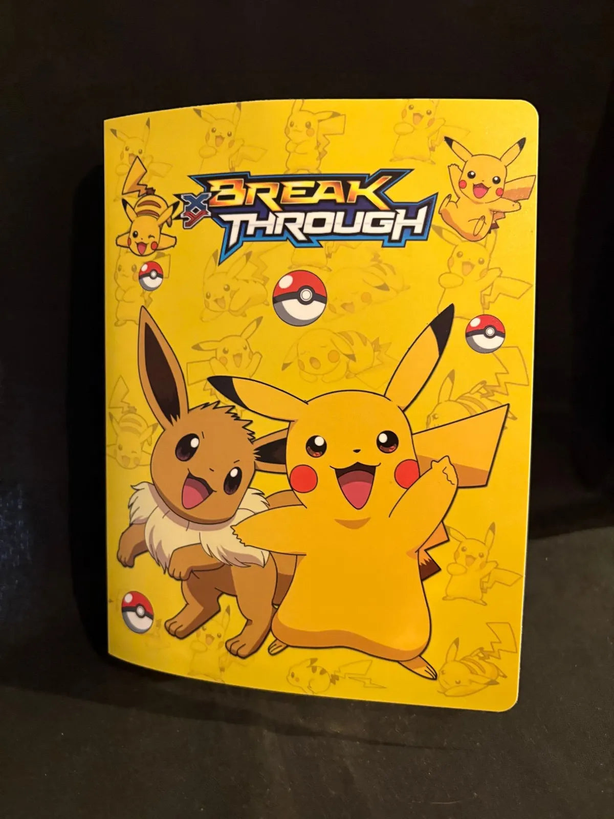 Pokemon 4x4 Binder (various art)
