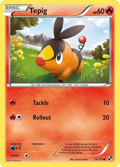 Tepig (15) (Black and White) Damaged / Poor