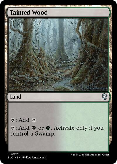 Tainted Wood (Commander: Bloomburrow) Medium Play