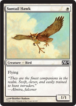 Suntail Hawk (Magic 2014 Core Set) Light Play