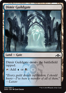 Dimir Guildgate (245) (Guilds of Ravnica) Light Play