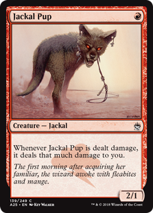 Jackal Pup (Masters 25) Light Play