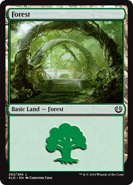 Forest (262) (Kaladesh) Light Play