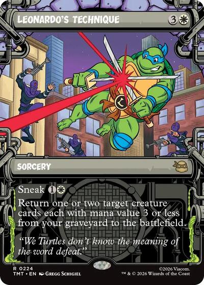Leonardo's Technique (Showcase) (Teenage Mutant Ninja Turtles) Light Play