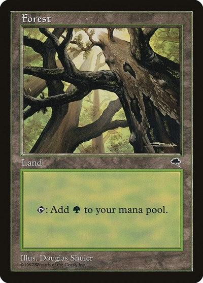 Forest (Tempest) Heavy Play