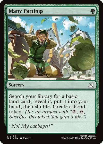 Many Partings (Avatar: The Last Airbender: Eternal-Legal) Light Play