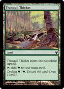 Tranquil Thicket (Duel Decks: Izzet vs Golgari) Light Play