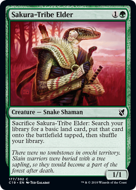Sakura-Tribe Elder (Commander 2019) Medium Play