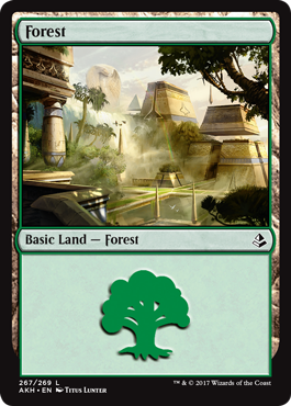 Forest (267) (Amonkhet) Light Play