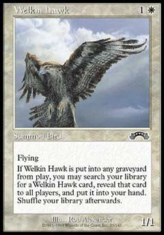 Welkin Hawk (Exodus) Light Play
