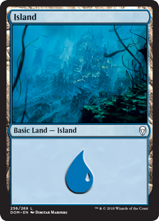 Island (256) (Dominaria) Light Play