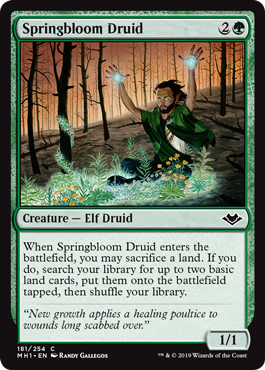 Springbloom Druid (Modern Horizons) Light Play