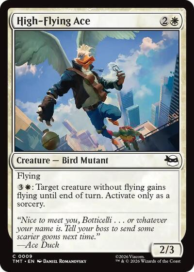 High-Flying Ace (Teenage Mutant Ninja Turtles) Light Play