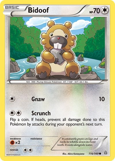 Bidoof (XY - Primal Clash) Medium Play