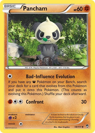 Pancham (59) (XY - Furious Fists) Medium Play