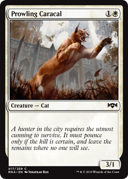 Prowling Caracal (Ravnica Allegiance) Light Play