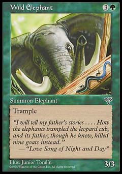 Wild Elephant (Mirage) Light Play