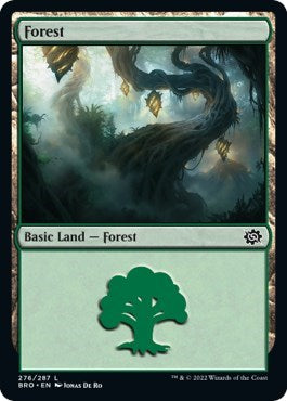 Forest (276) (The Brothers' War) Light Play