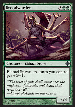 Broodwarden (Rise of the Eldrazi) Medium Play