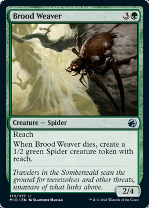 Brood Weaver (Innistrad: Midnight Hunt) Light Play