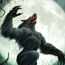 Max Protection Full Moon Large Sleeves
