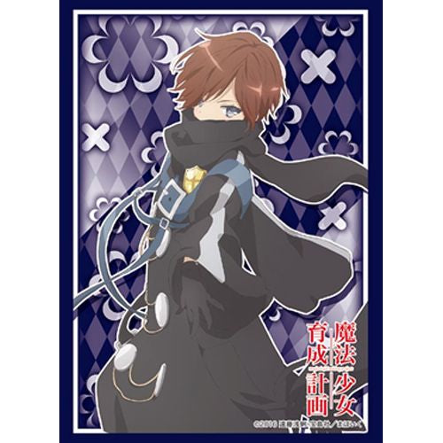 Bushiroad Sleeves: Collection High Grade #242 - Vol.1197