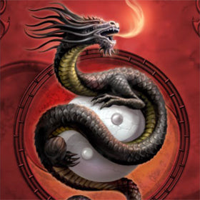 Max Protection Protector of the Wudang Small Sleeves