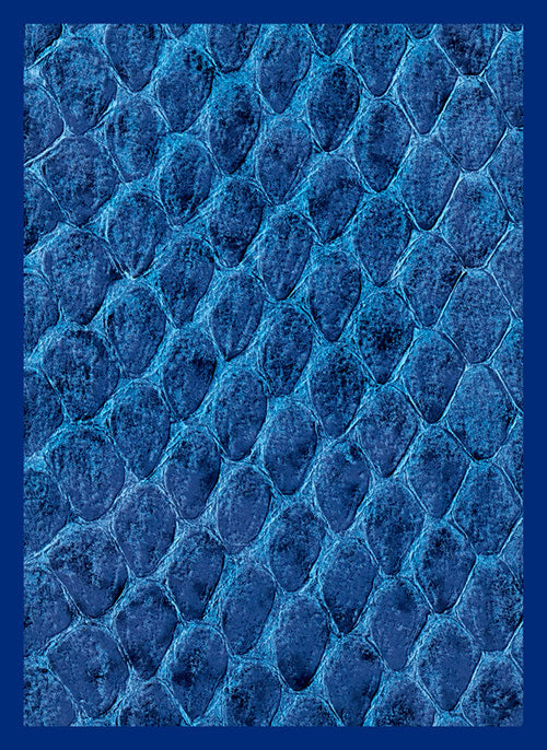 Dragon Hide Art Sleeves Blue (50)