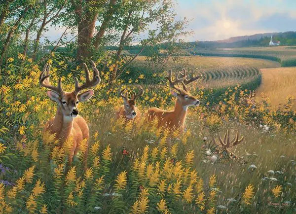 Puzzle Summer Deer