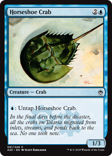 Horseshoe Crab (Masters 25) Light Play