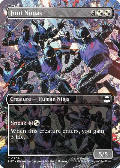 Foot Ninjas (Borderless) (Teenage Mutant Ninja Turtles) Light Play