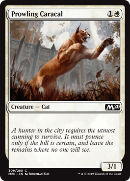 Prowling Caracal (Magic 2020 Core Set) Light Play