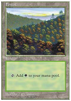 Forest C (5th Edition) Heavy Play