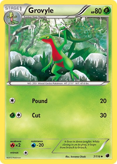 Grovyle (Plasma Freeze) Damaged / Poor
